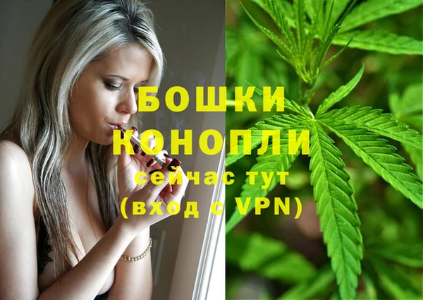 ГАЛЛЮЦИНОГЕННЫЕ ГРИБЫ Балабаново