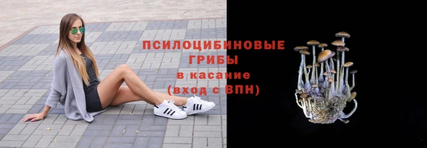 ГАЛЛЮЦИНОГЕННЫЕ ГРИБЫ Балабаново