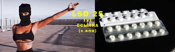 ГАЛЛЮЦИНОГЕННЫЕ ГРИБЫ Балабаново