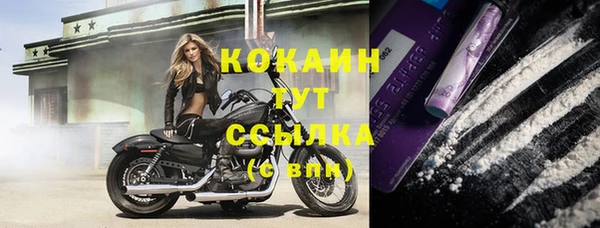 ГАЛЛЮЦИНОГЕННЫЕ ГРИБЫ Балабаново