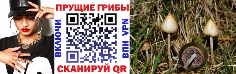 Галлюциногенные грибы Psilocybe  Иркутск 